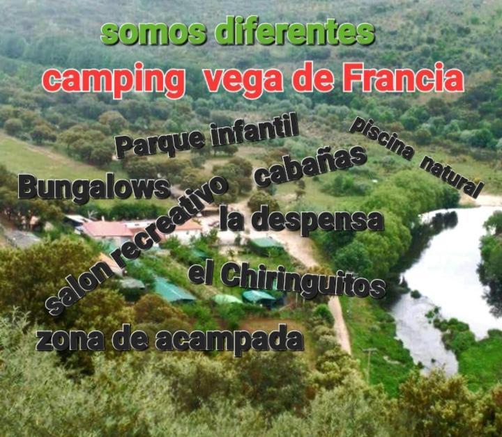 Bungalows, Camping Vega De Francia Sotoserrano Dış mekan fotoğraf